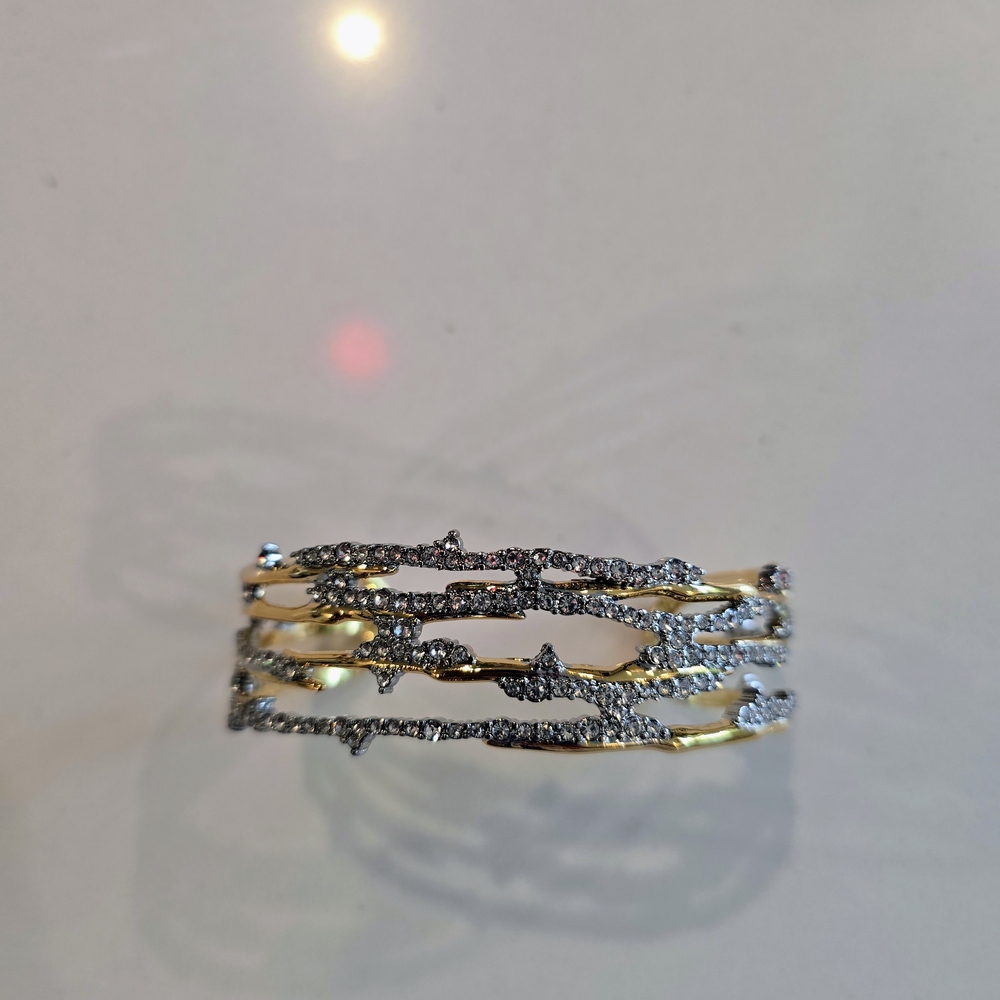 AB Elegant Gold and Silver Women's Bangle Cuff